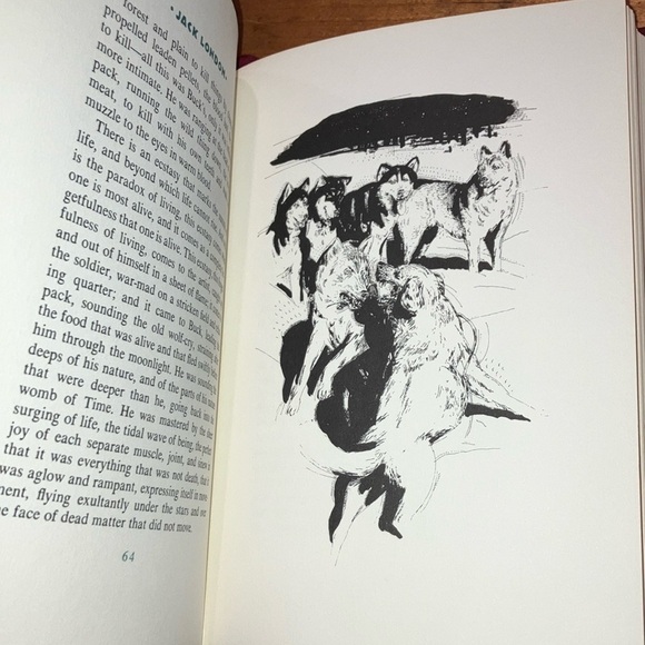 Book: Red Leather Bound 'The Call of the Wild' by Jack London Book - Picture 14 of 16